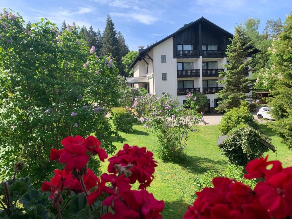 Landhaus Am Forst Bad Alexandersbad Exterior foto
