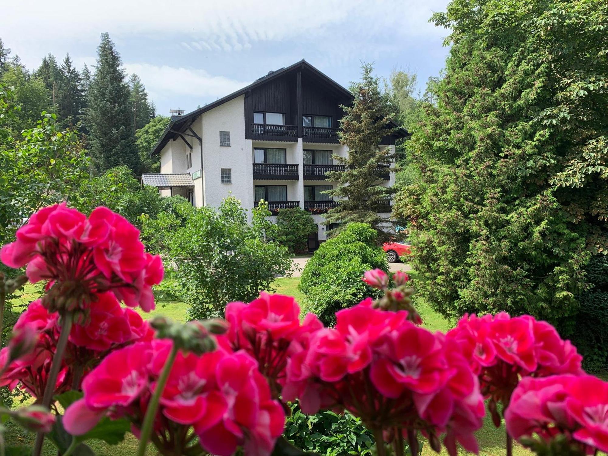 Landhaus Am Forst Bad Alexandersbad Exterior foto